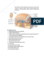 LP Craniotomy