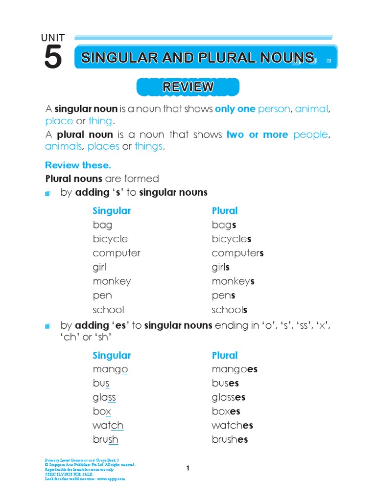Unit 5 Singular and Plural Nouns | PDF | Grammatical Number | Plural