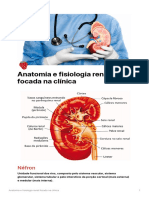 Anatomia e Fisiologia Renal Focada Na Clnica