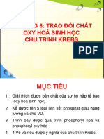 C7-TRAO ĐỔI CHẤT-1