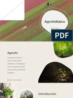 AgroVoltaico 2023