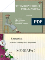 Sistem Reproduksi Manusia PPT