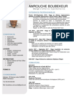 CV Boubekeur AMROUCHE PDF
