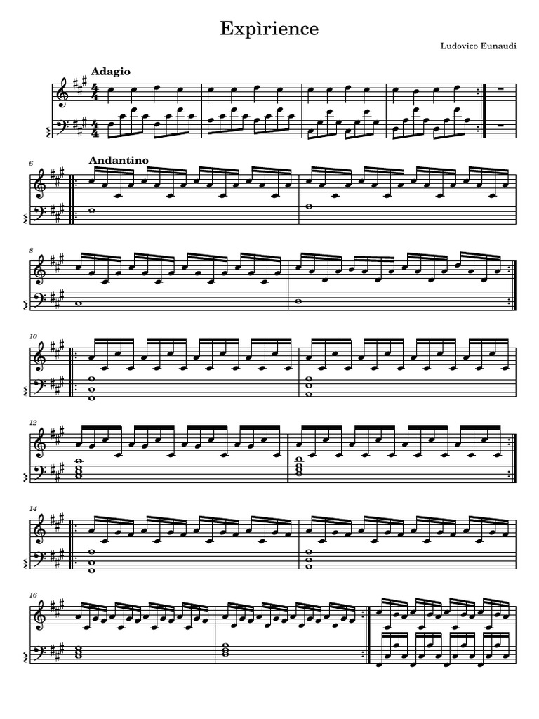 Experience Notes for Ludovico Einaudi | PDF
