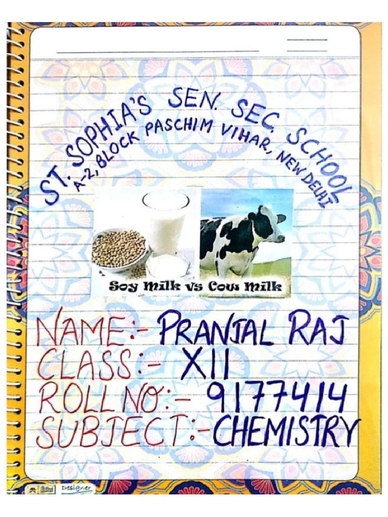 Soy Milk Vs Cow Milk PDF