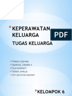 Kelompok 2 (Tugas Keperawatan Keluarga)