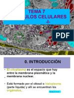 Organulo Celular I