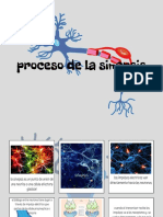 Proceso de Sinapsis