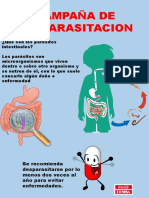 Presentación4 Desparasitacion