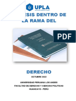 Monografia - La Tesis Dentro de La Rama Del Derecho