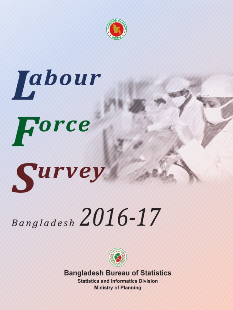 Labour Force Survey 2016 17 Pdf Survey Methodology Employment