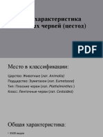 Общая Характеристика Ленточных Червей (Цестод) Дымова Анастасия