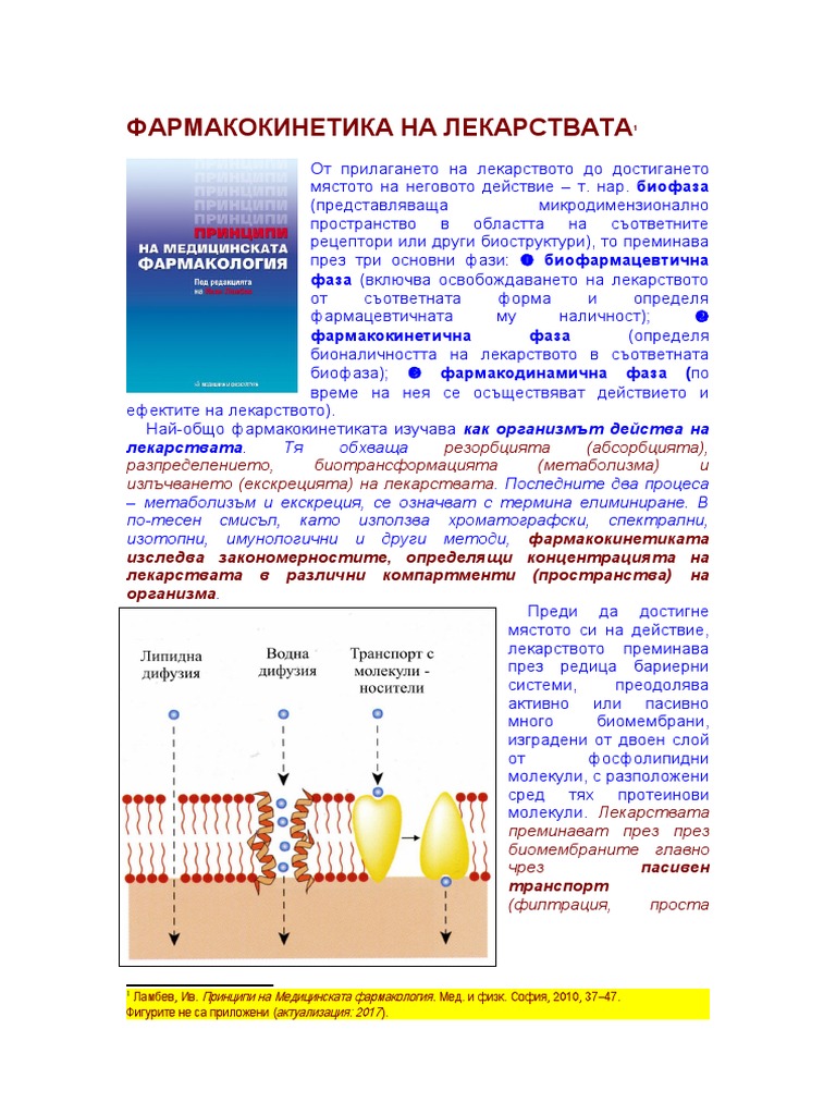 Kinetics | PDF