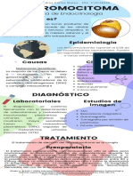 Infografía - Feocromocitoma