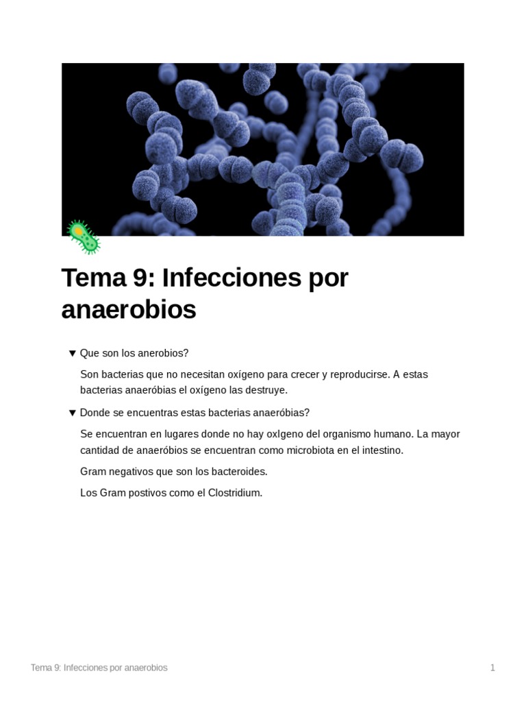 Tema 9 Infecciones Por Anaerobios Pdf Infección Las Bacterias