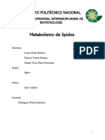 Metabolismo de Lipidos - Lima Ordaz