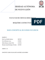 Mapa Conceptual de Ácidos Nucleicos.