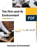 The Firm's Internal and External Environment