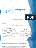 C4 Perceptron