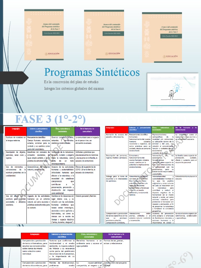 Programa Sintético Fase 6 Resumen | PDF