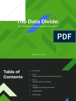 Matillion Ebook The Data Divide