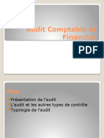 Audit Comptable Et Financier