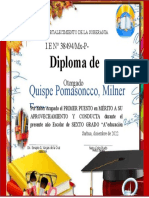Diploma 1.1