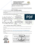 Guía de Ciencias Abril 4 Al 8