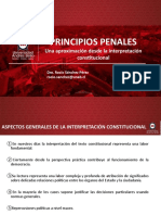 Interpretación Principios Penales