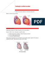 Patología Cardiovascular 