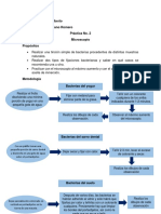 Práctica 2 - Microscopio