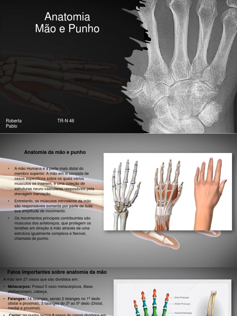 Anatomia Mão e Punho Tutor Denis 2 | PDF | Sistema Locomotor | Anatomia  humana, image size:768x1024