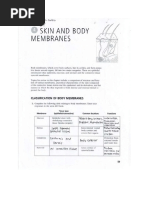 Skin and Body Membranes