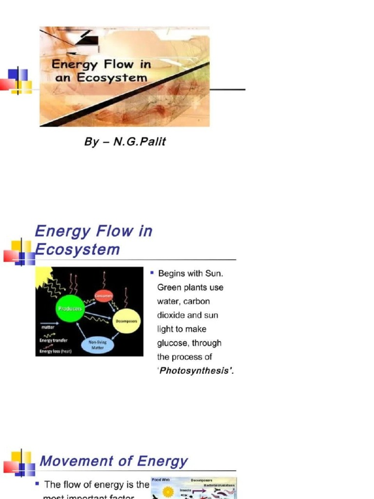 Energy Flow in An Ecosystem | PDF