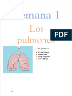 Normas Apa #1