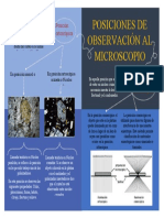 Mapa Conceptual - Trabajo2