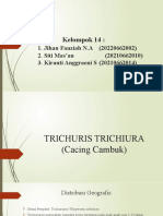 Kel 14 - Trichuris - Trichiura - (Parasitologi) - 2-1