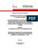 Auditoría financiera DEVIDA-USAID