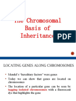 Chromosomal Inheritance A