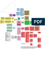 Cor Pulmonale Mapa