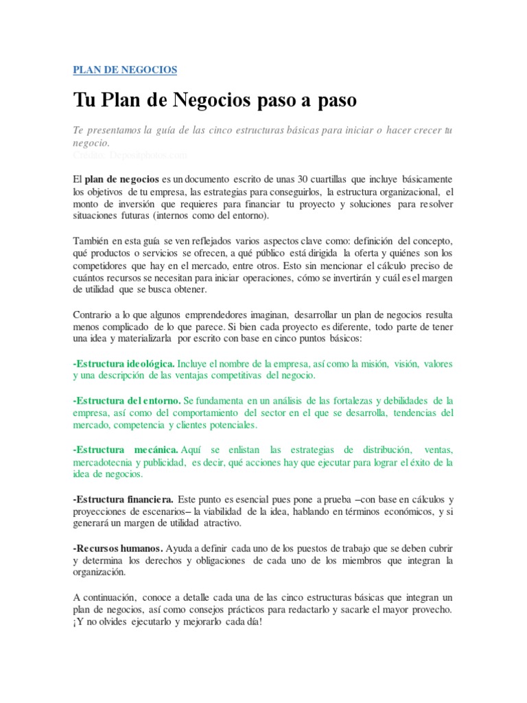 Estructura de un Plan de Negocios | PDF | Marketing | Mercado (economía)