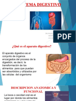 Aparato Digestivo