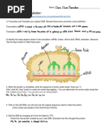 virtual-lab-point-mutations-pdf-point-mutation-mutation