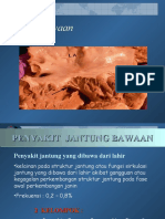 Penyakit Jantung Bawaan