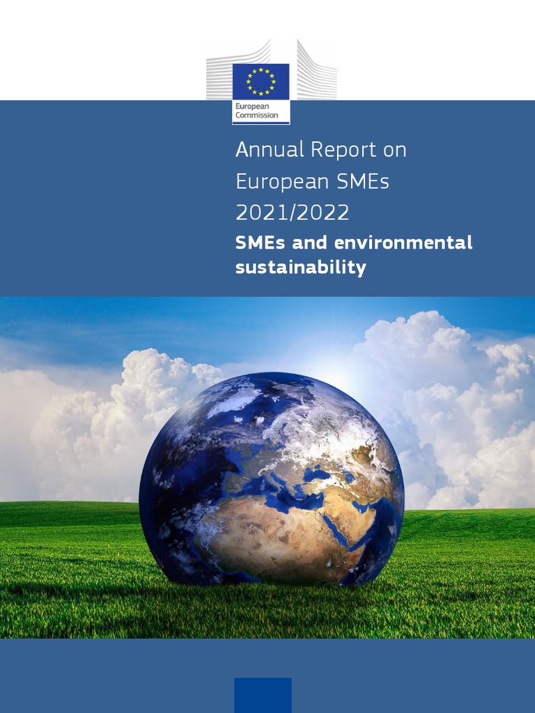 SME AR 2021 - 22 - Final Report | PDF | Small And Medium Sized ...
