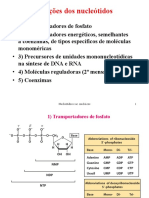 2 - Aula Anucleicos - 22 - 23