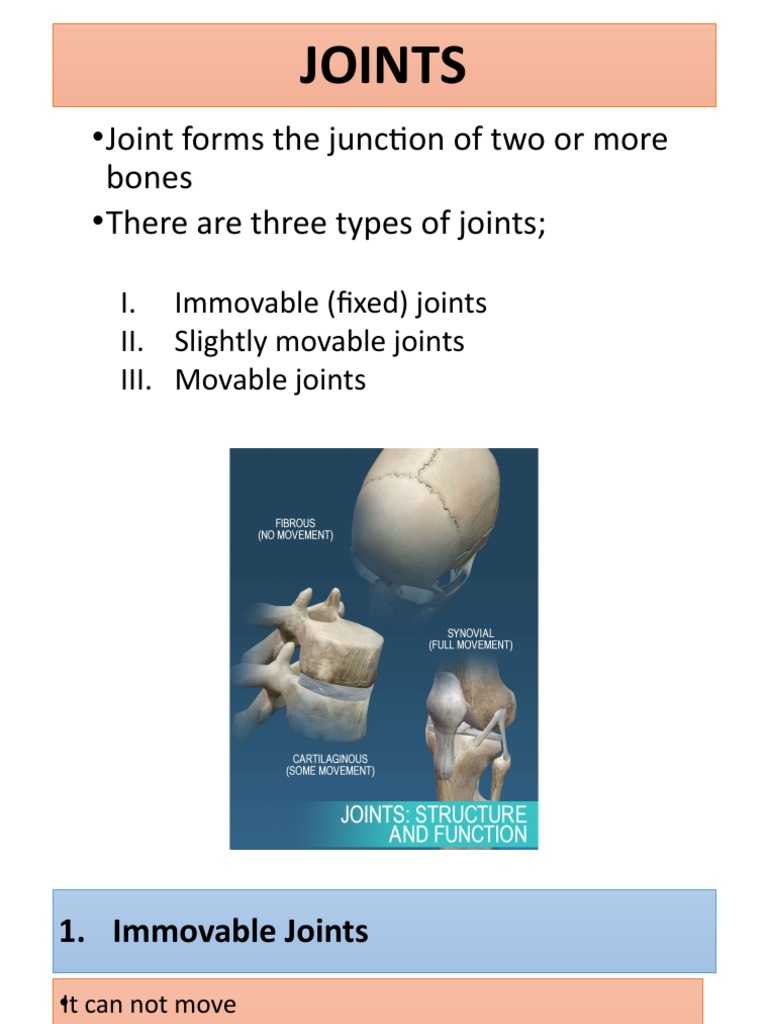 JOINTS and Cartilage1st and 2nd January 2023 PDF