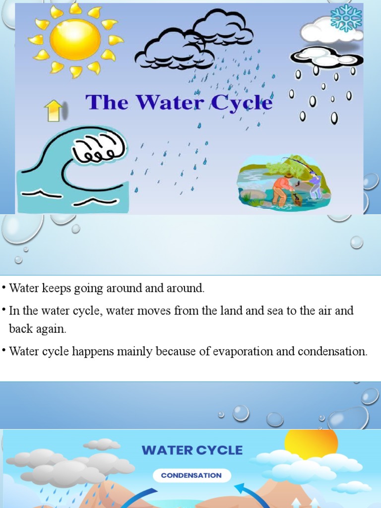 The Water Cycle | PDF | Social Science | Home & Garden