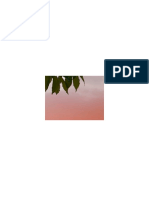 D PDF