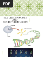 Sex Chromosomes and Sex Determination